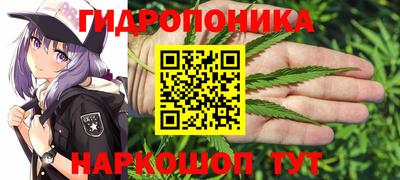 шишки Пенза