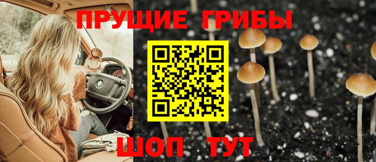 Псилоцибиновые грибы MAGIC MUSHROOMS Россия