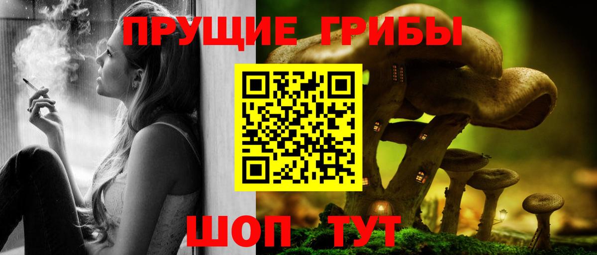 купить  сайты  Галлюциногенные грибы прущие грибы  Вход с VPN  Россия 